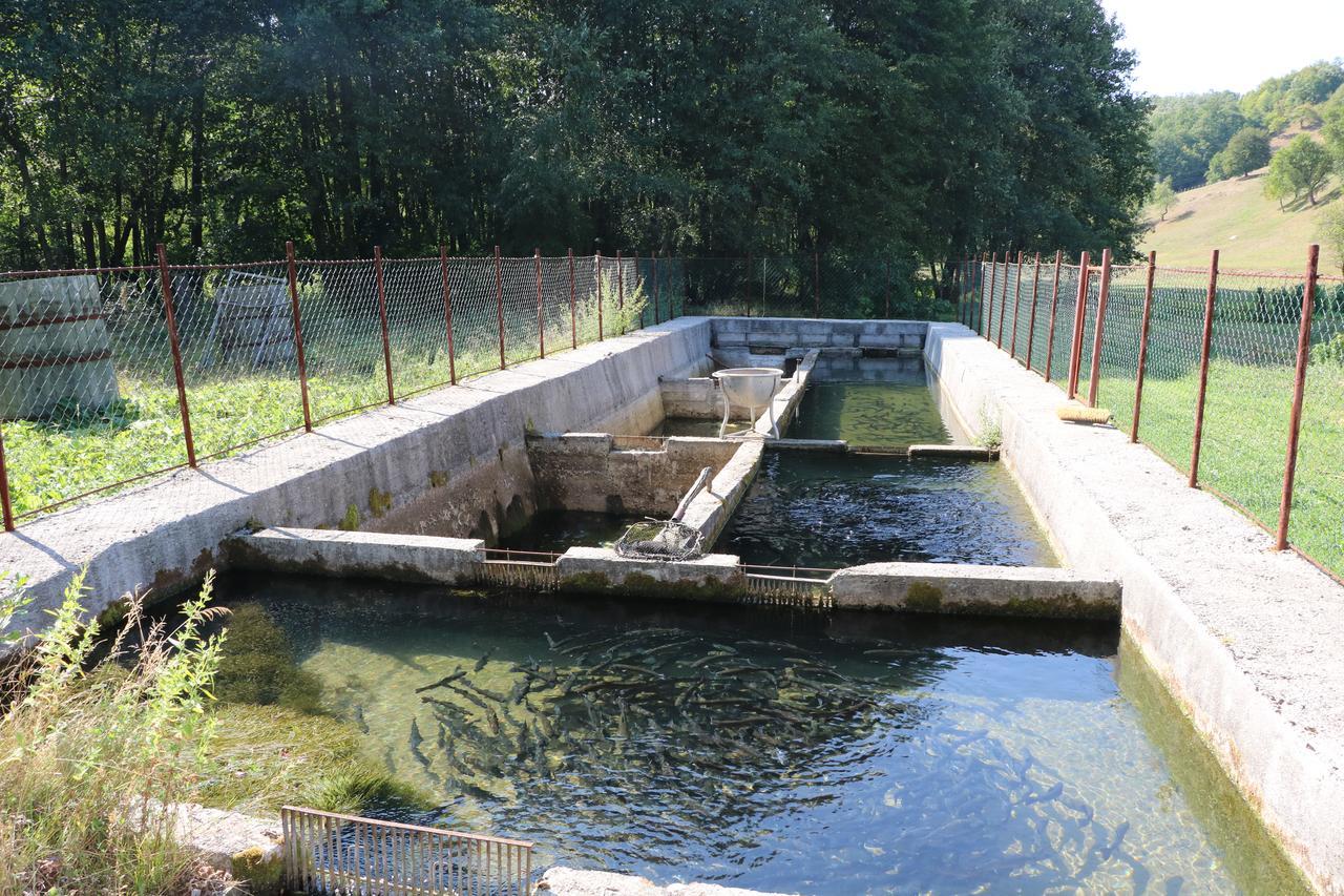 Hotel Eco Camp Dzogaska Vrela Pljevlja Zewnętrze zdjęcie