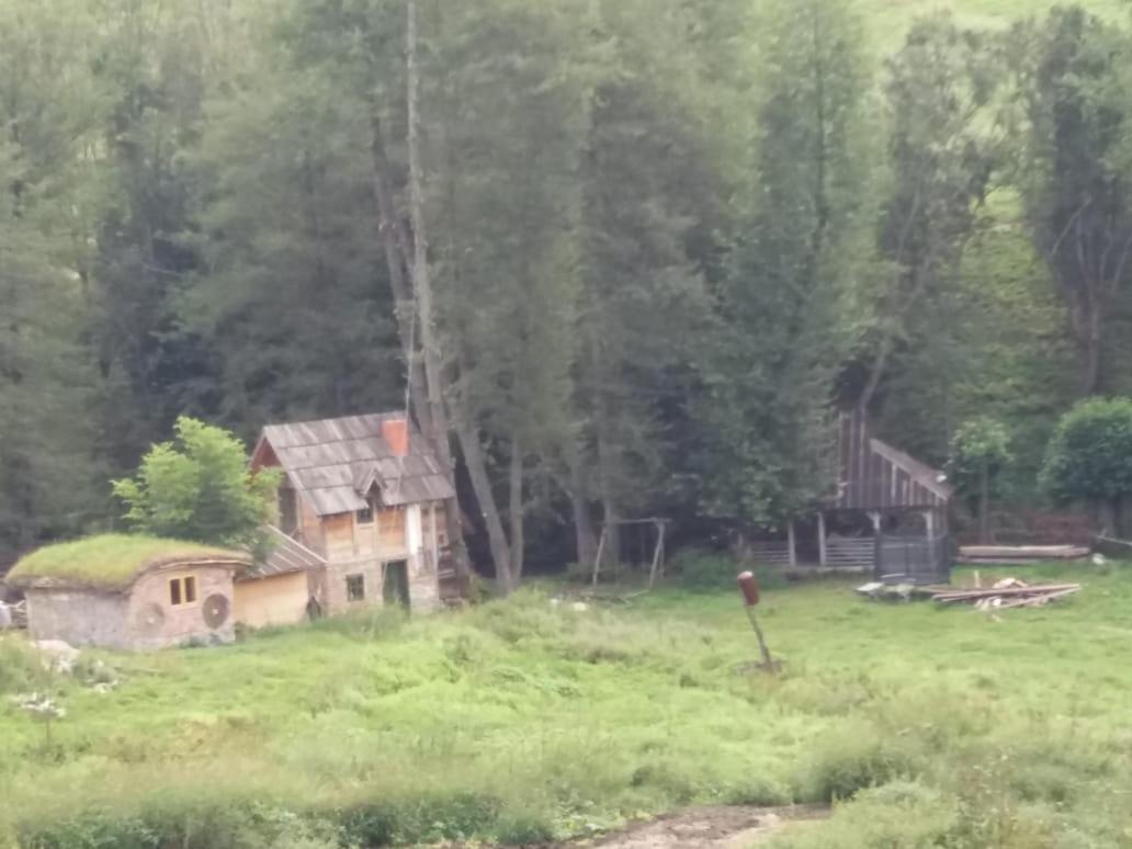 Hotel Eco Camp Dzogaska Vrela Pljevlja Zewnętrze zdjęcie